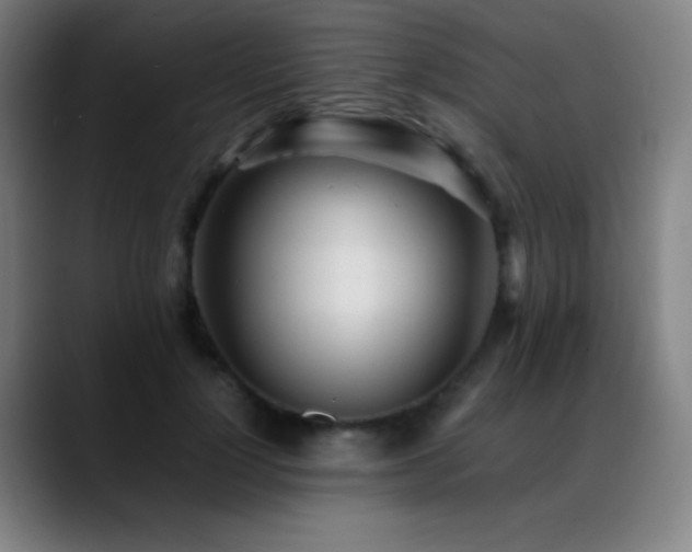 X0000089350748200706151101