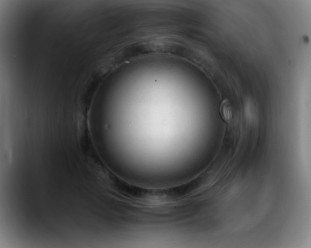 X0000089350749200706151101