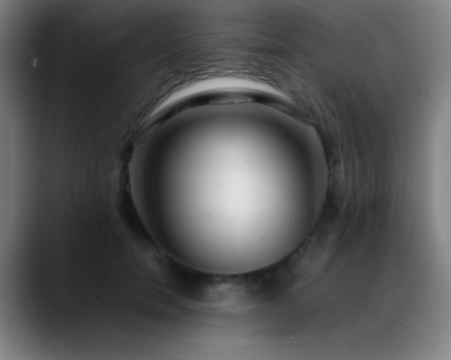 X0000089350750200706151101