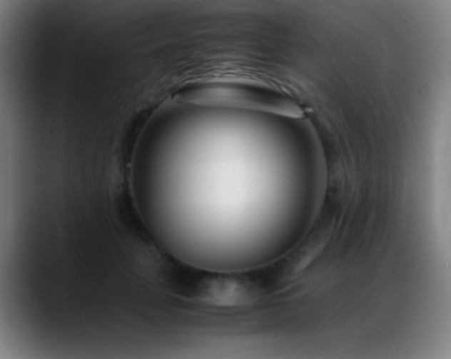 X0000089350751200706151101