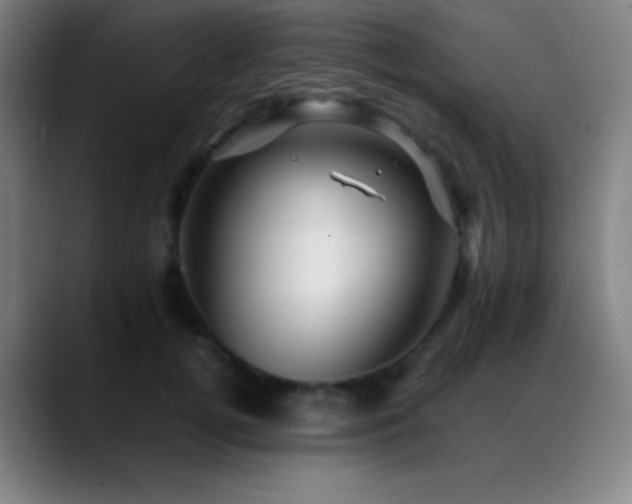 X0000089350752200706151101