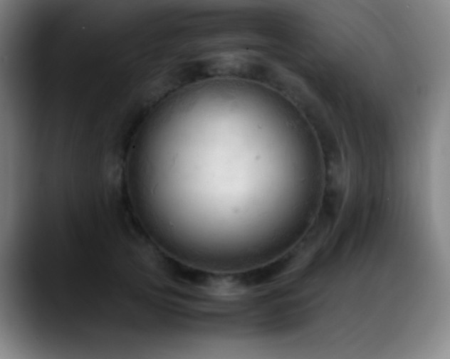 X0000089350753200706151101
