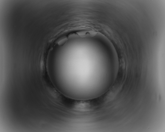 X0000089350754200706151101