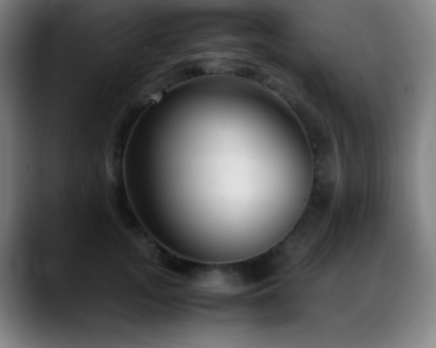 X0000089350755200706151101