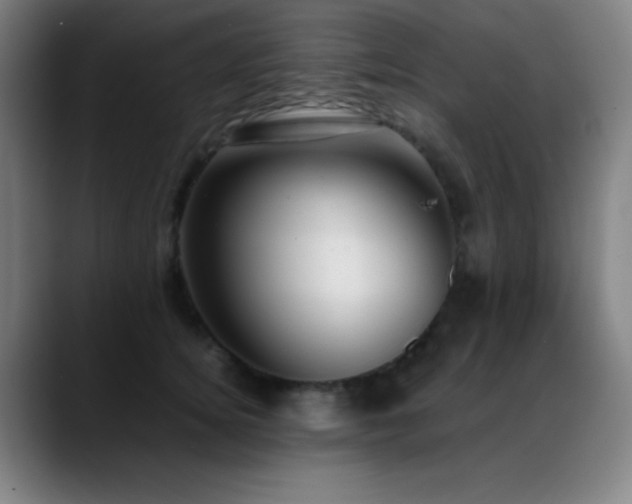 X0000089350756200706151101