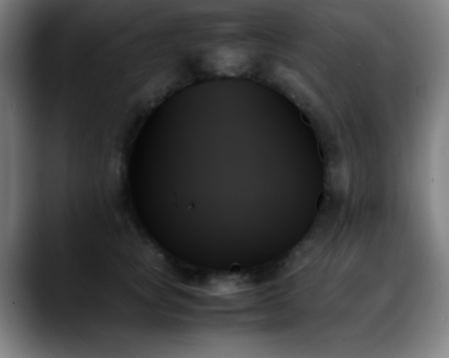 X0000089350757200706151101