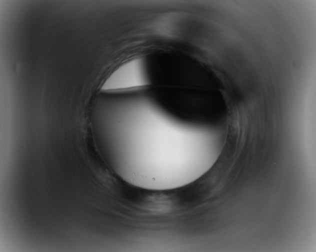 X0000089350759200706151101