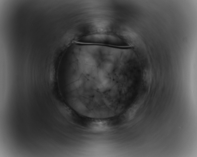 X0000089350760200706151101