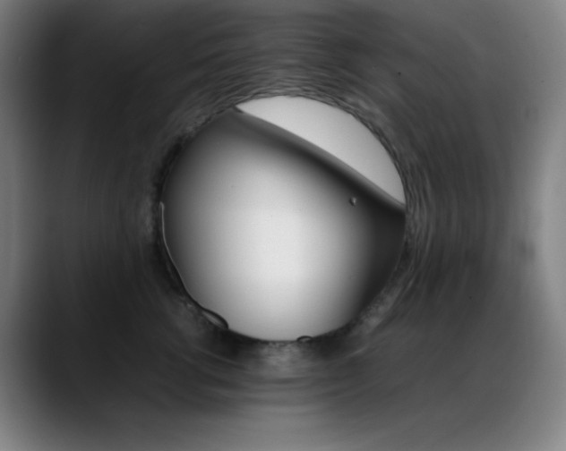 X0000089350762200706151101