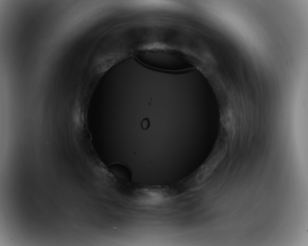 X0000089350763200706151101