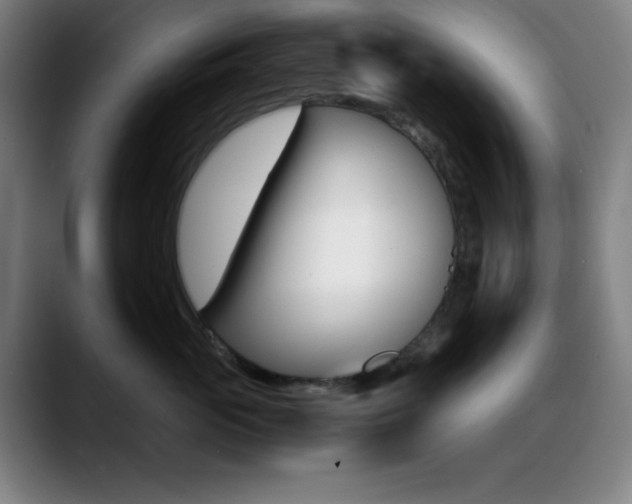 X0000089350765200706151101