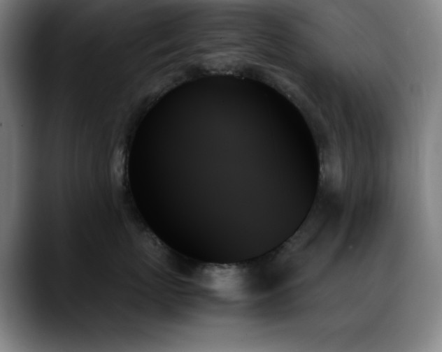 X0000089350767200706151101