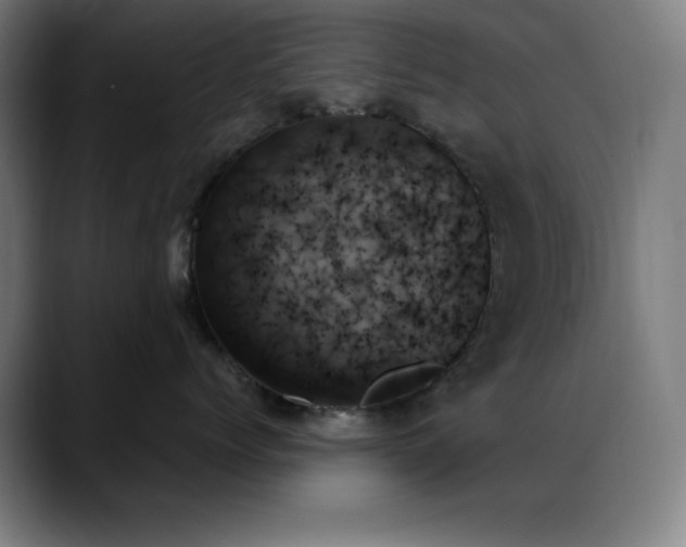 X0000089350768200706151101