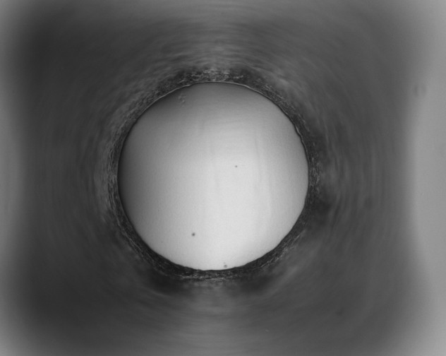 X0000089350769200706151101