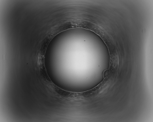 X0000089350770200706151101