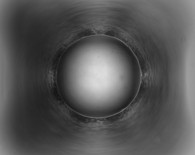 X0000089350772200706151100