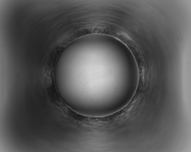 X0000089350774200706151100