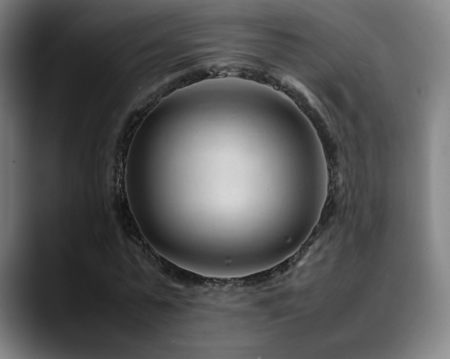 X0000089350775200706151100