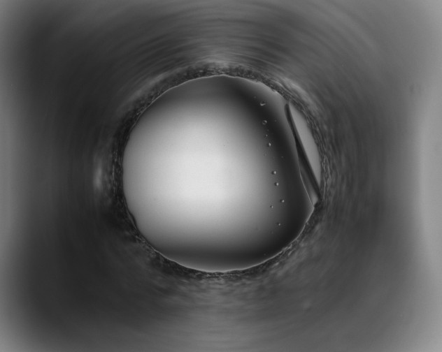 X0000089350776200706151100
