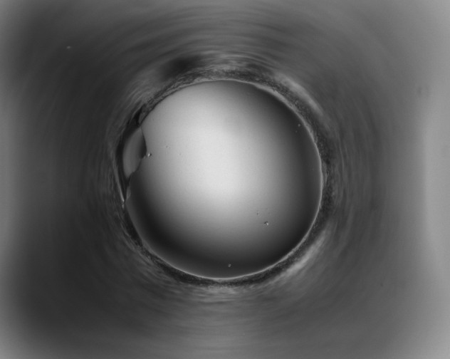X0000089350777200706151100
