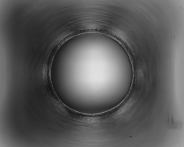 X0000089350778200706151100