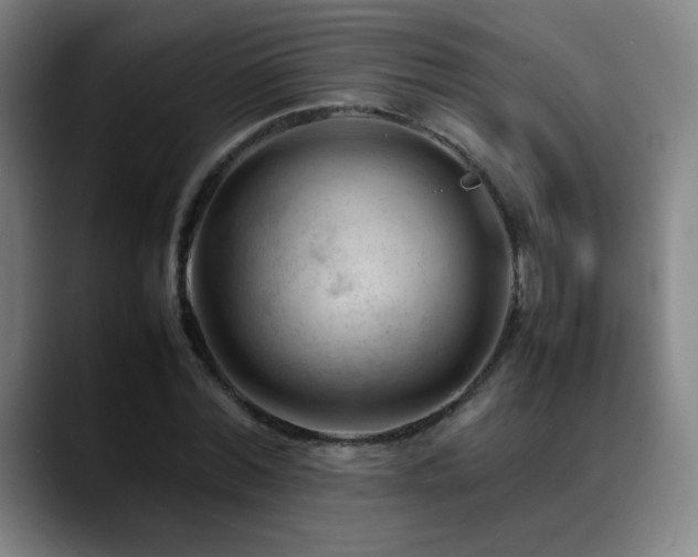X0000089350780200706151100