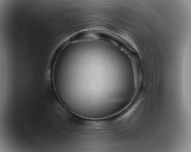 X0000089350781200706151100
