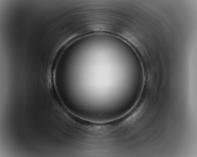 X0000089350782200706151100