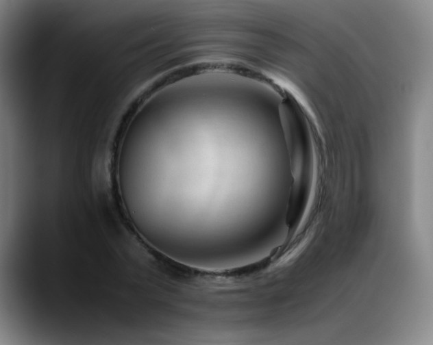 X0000089350783200706151100