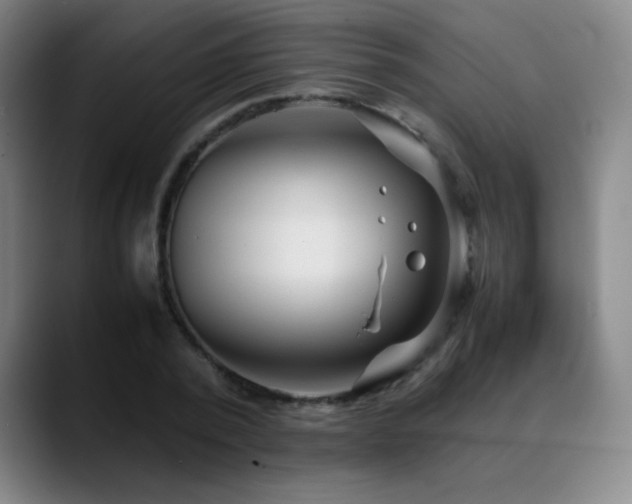 X0000089350784200706151100