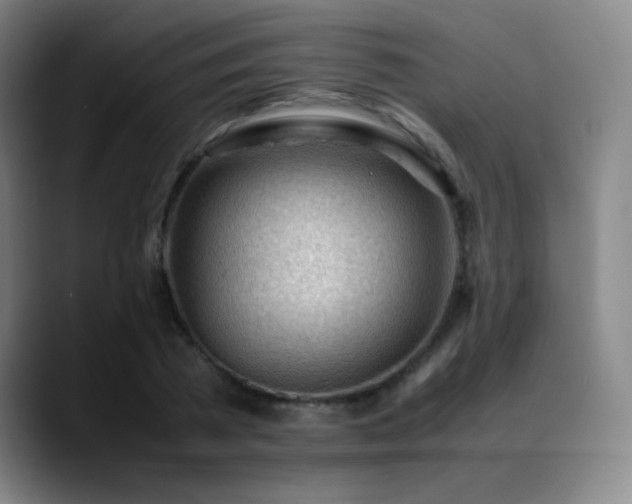X0000089350785200706151100