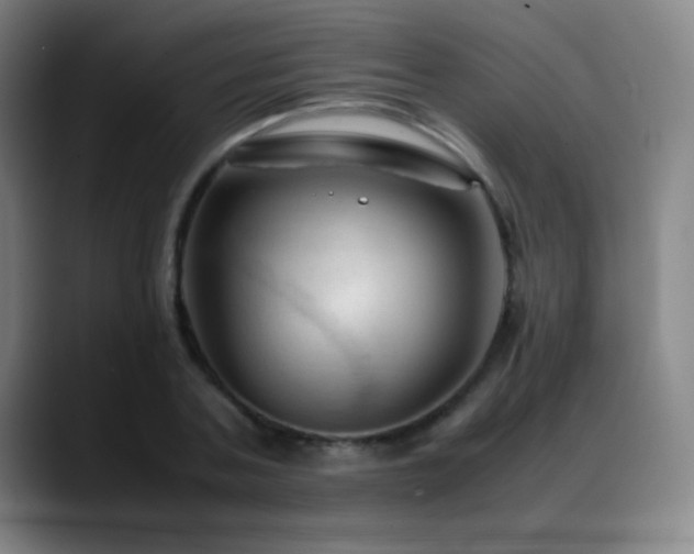 X0000089350787200706151100