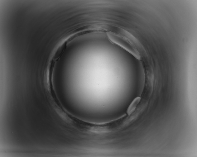 X0000089350788200706151100