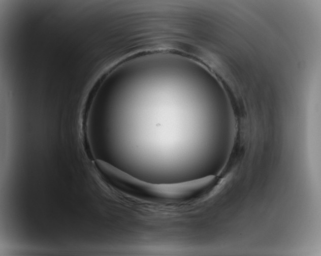X0000089350789200706151100