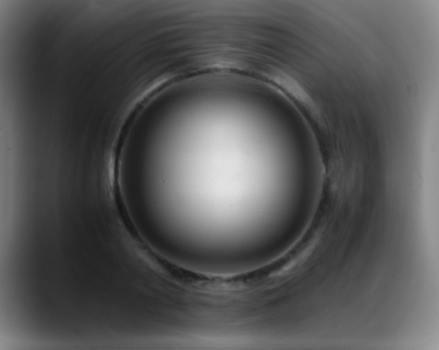 X0000089350790200706151100