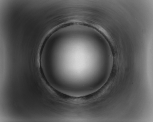 X0000089350791200706151100