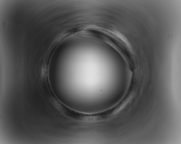 X0000089350793200706151100