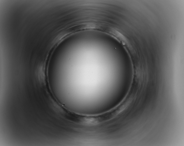 X0000089350794200706151100