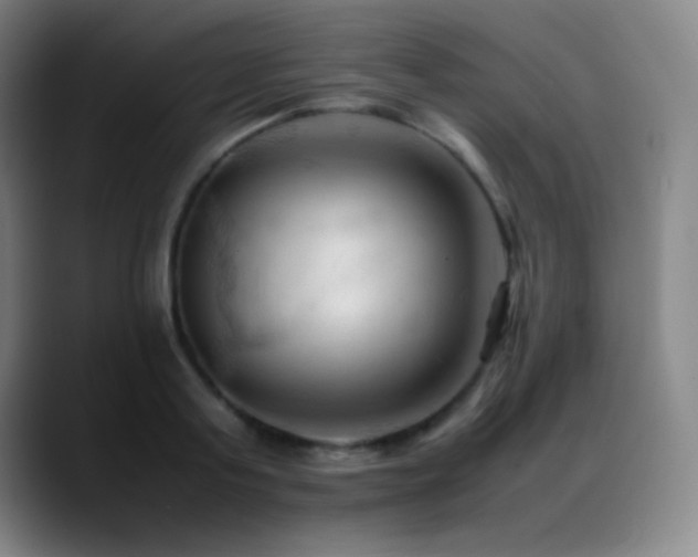 X0000089350795200706151100