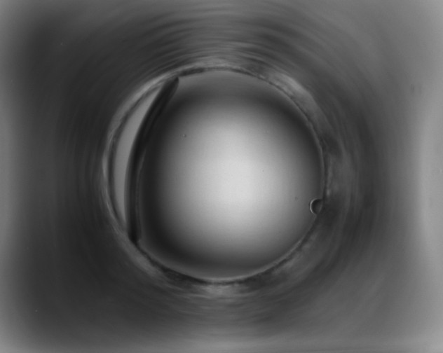 X0000089350796200706151100