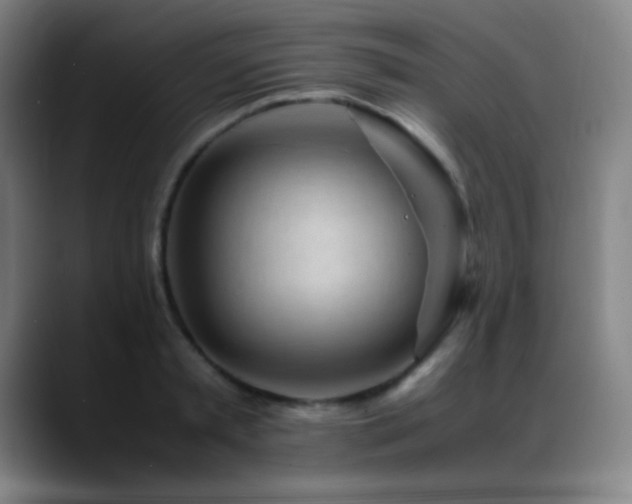 X0000089350797200706151100