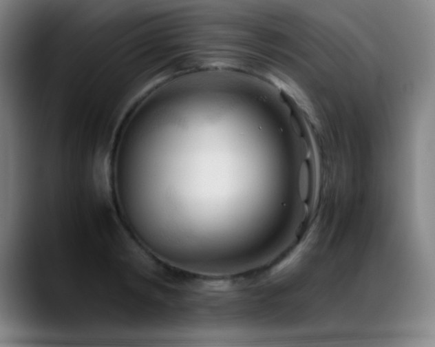 X0000089350798200706151100