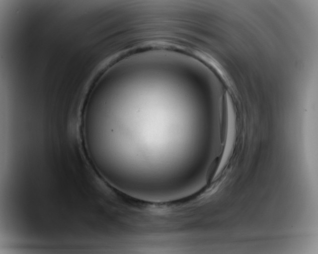 X0000089350799200706151100