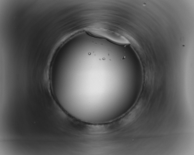 X0000089350800200706151100