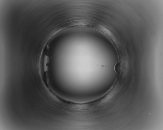 X0000089350802200706151100