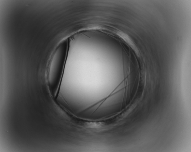 X0000089350805200706151100