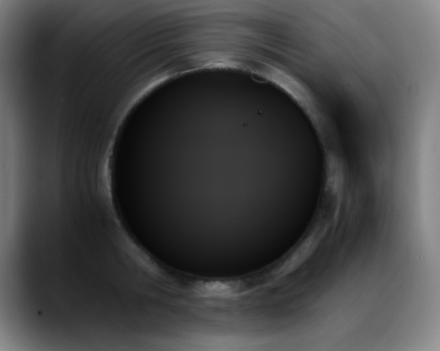X0000089350806200706151100