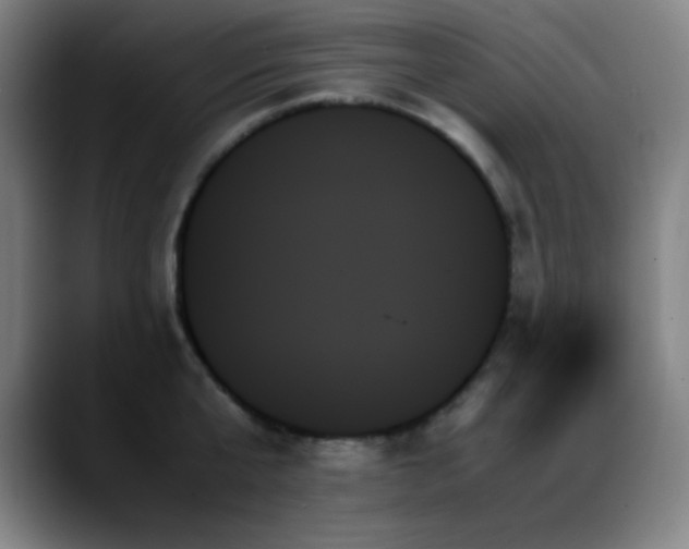 X0000089350807200706151100