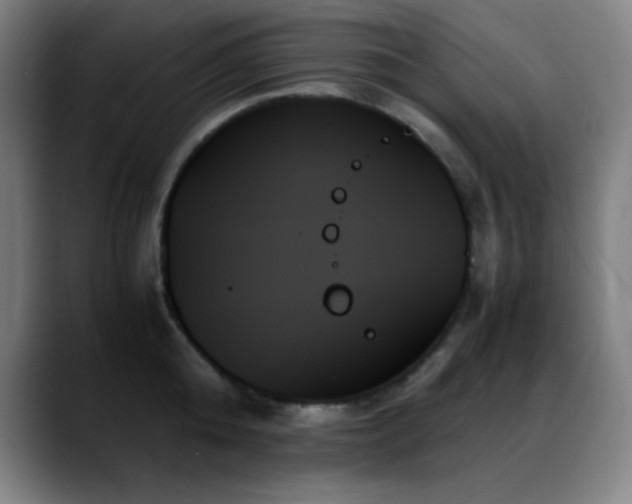X0000089350808200706151100