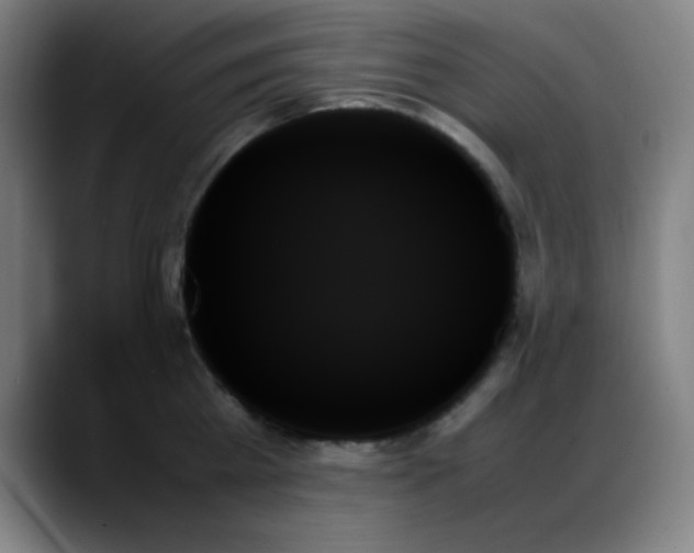 X0000089350809200706151100